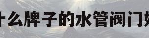 什么牌子的水管阀门好(什么牌子的水管阀门好用)
