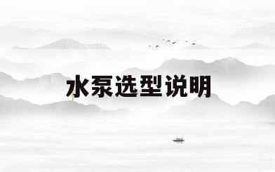 水泵选型说明(水泵选型说明怎么写)