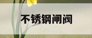 不锈钢闸阀(dn25不锈钢闸阀)