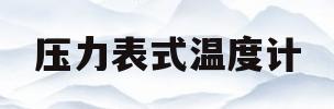 压力表式温度计(压力表式温度计有哪几种)