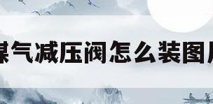 煤气减压阀怎么装图片(煤气减压阀怎么装图片大全)
