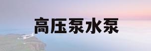 高压泵水泵(高压水泵原理)
