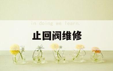 止回阀维修(止回阀维修视频)