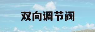 双向调节阀(双向调速阀的工作原理)