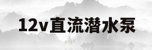 12v直流潜水泵(12v直流潜水泵哪个品牌好)
