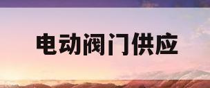 电动阀门供应(电动阀门供应商)