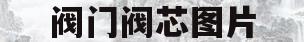 阀门阀芯图片(阀门的阀芯的材质怎么表示)