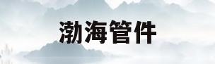 渤海管件(河北渤海管件)