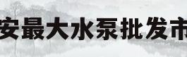 西安最大水泵批发市场(西安水泵厂家水泵批发市场)