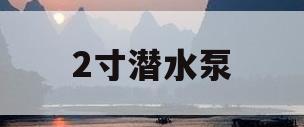 2寸潜水泵(2寸潜水泵每小时能抽多少水)
