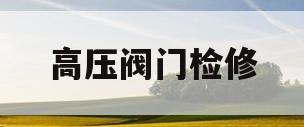 高压阀门检修(高压阀门检修的作业流程)