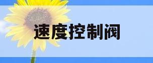 速度控制阀(什么是速度控制阀)