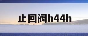 止回阀h44h(止回阀H44H16C)