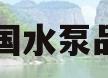 中国水泵品牌(中国水泵品牌十大排名榜)