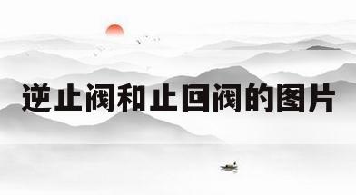 逆止阀和止回阀的图片(逆止阀和止回阀的图片区别)