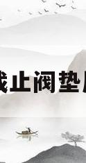 截止阀垫片(截止阀垫片要求)