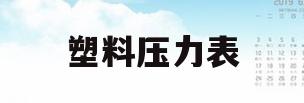 塑料压力表(塑料成型压力表)