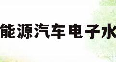 新能源汽车电子水泵(新能源汽车电子水泵工作原理)