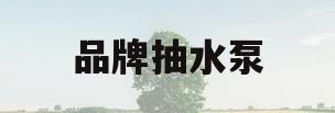 品牌抽水泵(抽水泵排行榜)