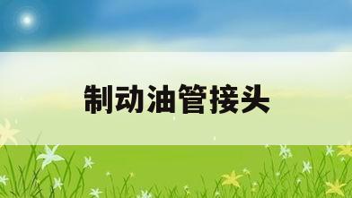 制动油管接头(制动油管接头渗漏的维修方法)