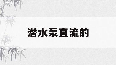 潜水泵直流的(潜水泵直流的原理)