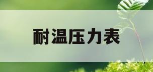 耐温压力表(耐温压力表型号)