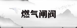 燃气闸阀(燃气闸阀开关图片)
