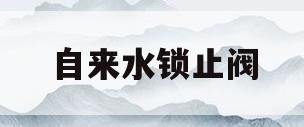 自来水锁止阀(自来水锁闭阀坏了谁负责)
