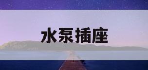 水泵插座(水泵插座是16A吗)
