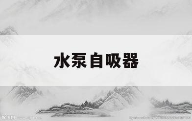 水泵自吸器(自吸式水泵的工作原理)