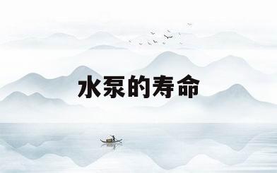 水泵的寿命(水泵的寿命一般是多久)