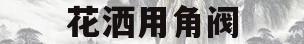 花洒用角阀(花洒用角阀还是球阀)