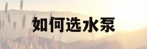 如何选水泵(怎么选择水泵)