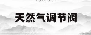 天然气调节阀(天然气调节阀工作原理)