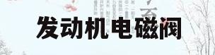 发动机电磁阀(发动机电磁阀坏了有什么表现)