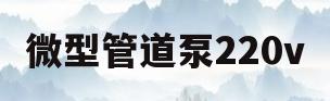 微型管道泵220v(微型管道泵增压泵型号大全图片)