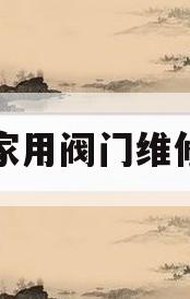 家用阀门维修(阀门维修视频教程)