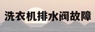 洗衣机排水阀故障(洗衣机排水阀故障怎么办)