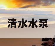 清水水泵(清水水泵用了几年,出水小怎么回事)