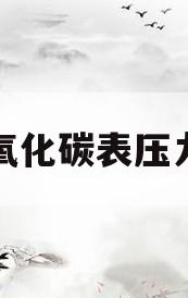 二氧化碳表压力表(二氧化碳表压力表区别)