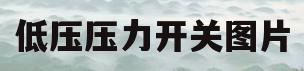 低压压力开关图片(低压力开关的压力设置)