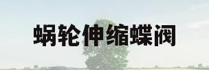 蜗轮伸缩蝶阀(伸缩蝶阀安装视频)