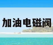 加油电磁阀(加油电磁阀的作用是什么)