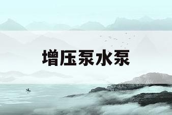 增压泵水泵(增压泵水泵安装视频)