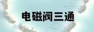 电磁阀三通(电磁阀三通法兰)