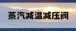 蒸汽减温减压阀(蒸汽减温减压阀进口排名)