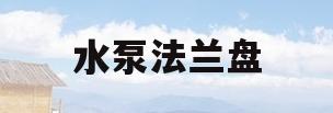 水泵法兰盘(水泵法兰盘接头)