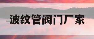 波纹管阀门厂家(波纹管阀门厂家电话)