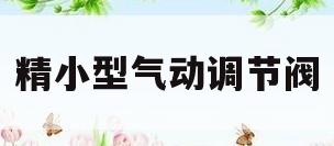 精小型气动调节阀(气动调节阀的调校方法视频)