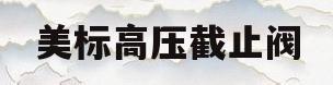 美标高压截止阀(高压截止阀厂家排名)